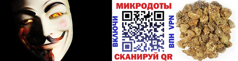 дарк нет состав  Глазов  Галлюциногенные грибы MAGIC MUSHROOMS 