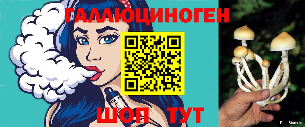 Псилоцибиновые грибы мицелий  Вход с VPN  Глазов 